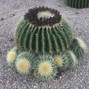 Meet your Posher, Tina